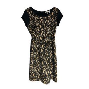 Hazel Women's Black Nude Lace Overlay Short Sleeve Sheath Dress Size M Back Zip